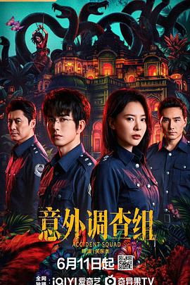 意外调查组 第13集