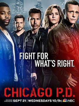 芝加哥警署 第四季 第09集