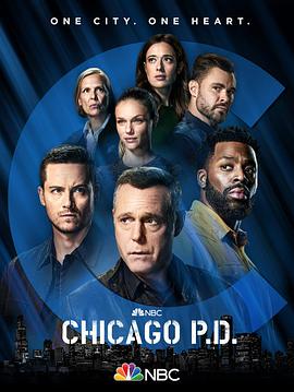 芝加哥警署第九季 第08集