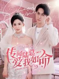 传闻陆总爱我如命 第01-30集